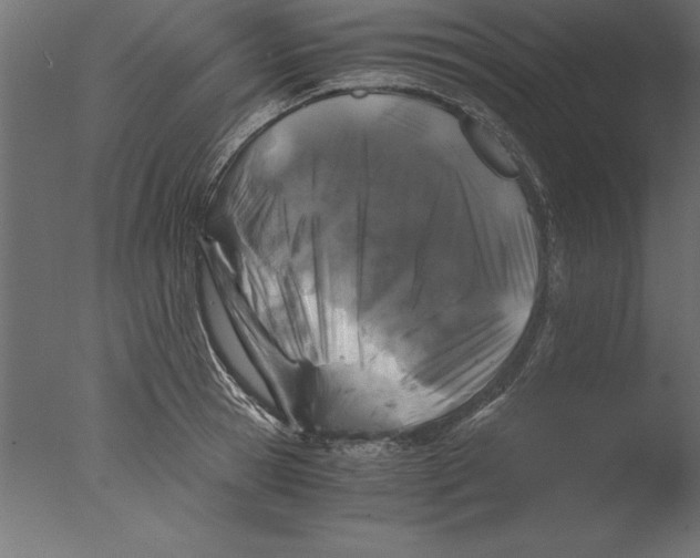 X0000076310945200610201609