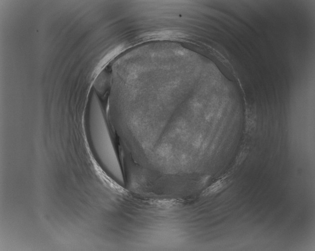 X0000076310946200610201609