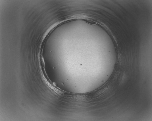 X0000076310947200610201609