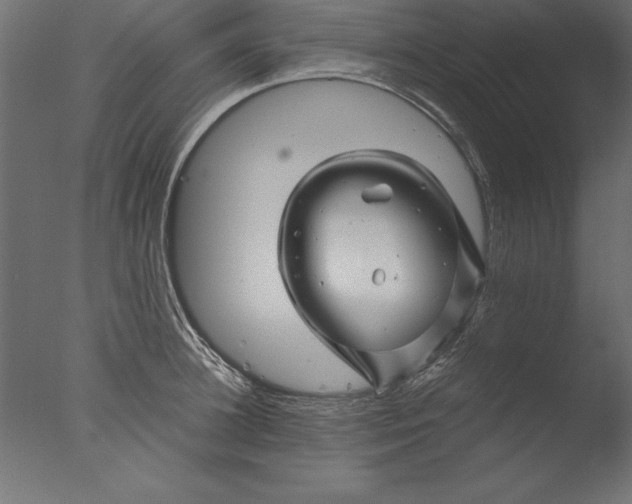 X0000076310948200610201609