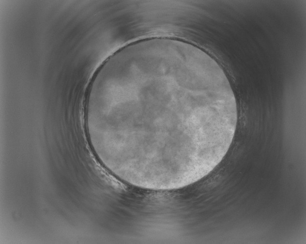 X0000076310950200610201609