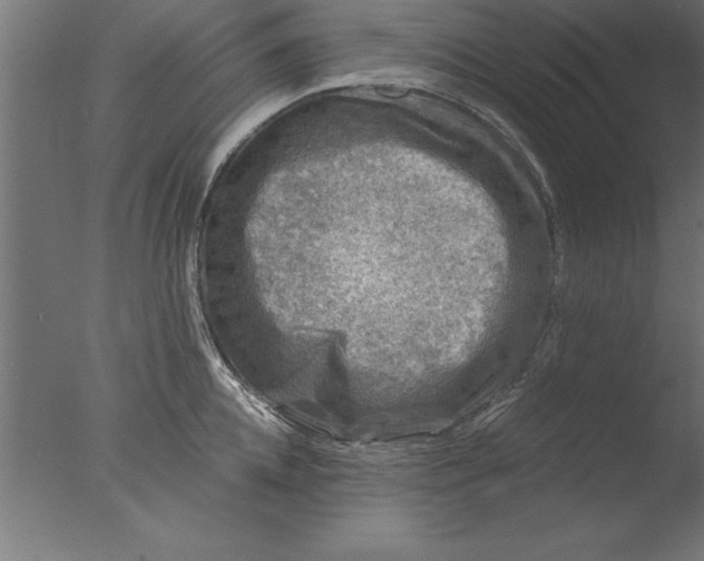 X0000076310952200610201609