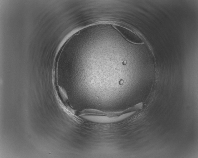 X0000076310955200610201609