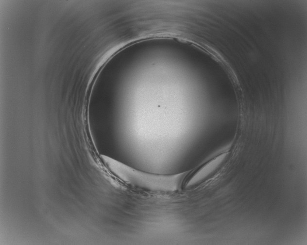 X0000076310956200610201609