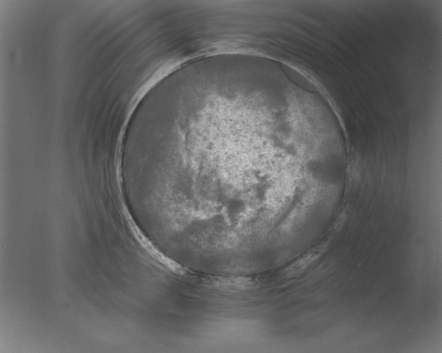 X0000076310957200610201609