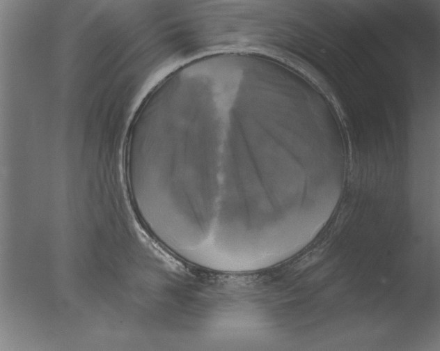 X0000076310958200610201609