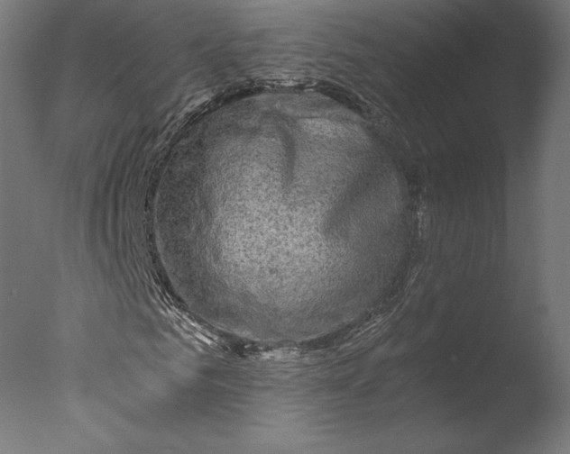 X0000076310961200610201608