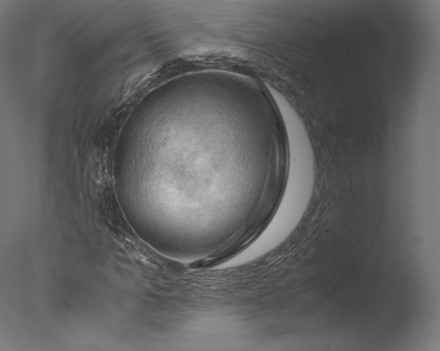 X0000076310965200610201608