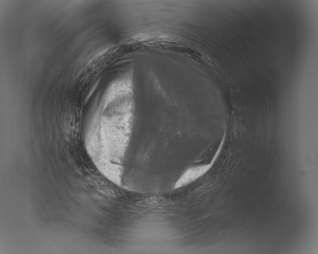 X0000076310966200610201608