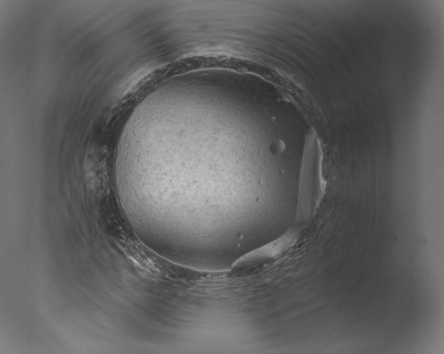 X0000076310968200610201608