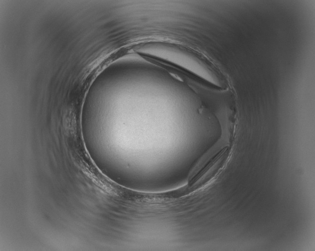 X0000076310969200610201608