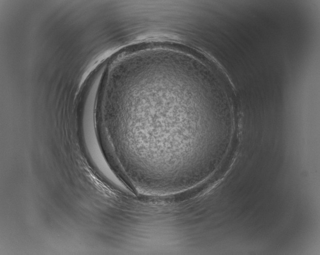 X0000076310973200610201608