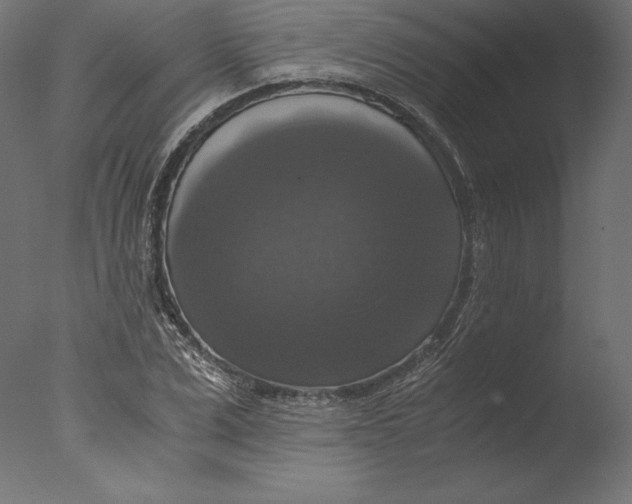 X0000076310975200610201608