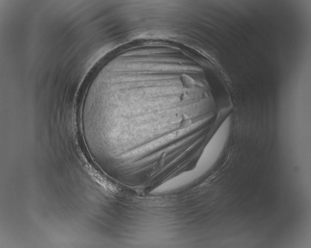 X0000076310976200610201608