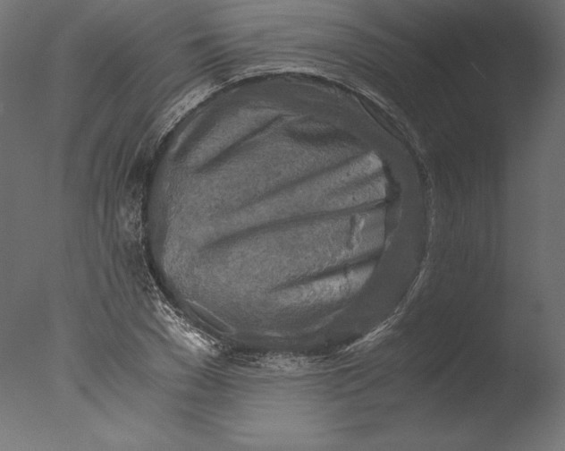 X0000076310977200610201608