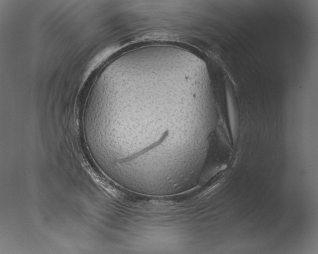 X0000076310981200610201608