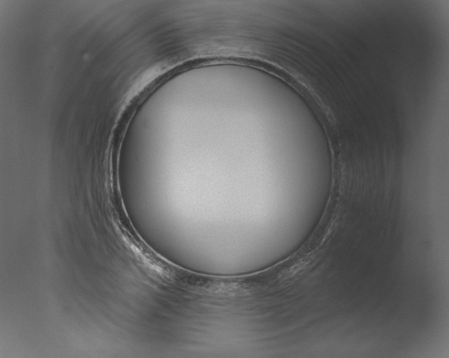 X0000076310982200610201608