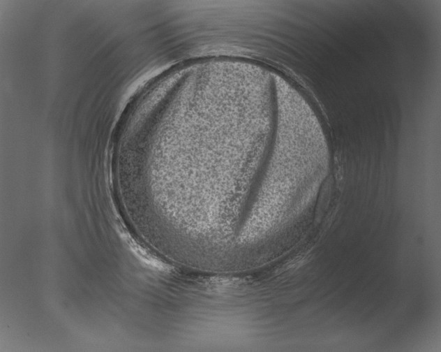 X0000076310987200610201608