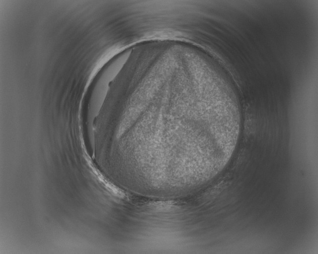 X0000076310990200610201608