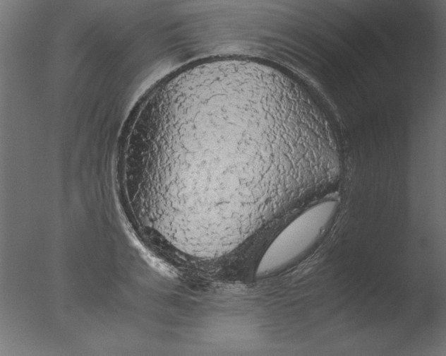 X0000076310991200610201608