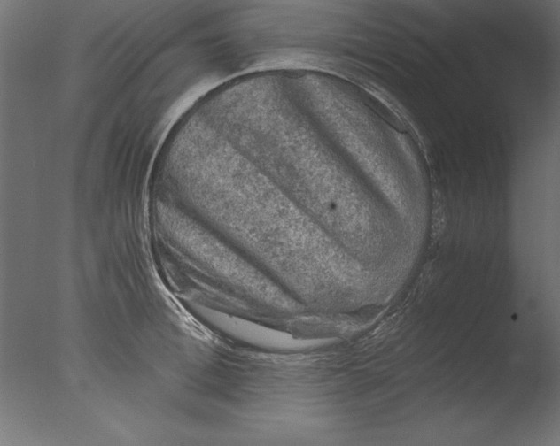 X0000076310996200610201608