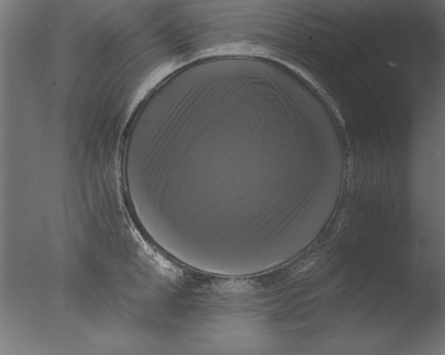 X0000076310998200610201608