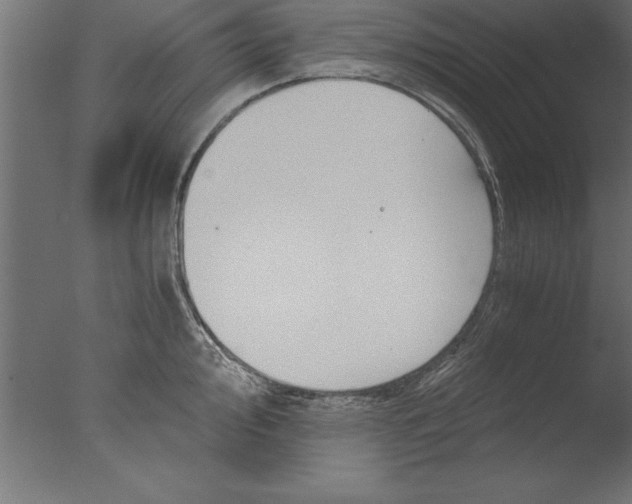 X0000076311000200610201608