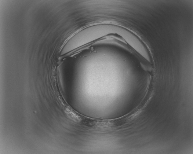 X0000076311001200610201608