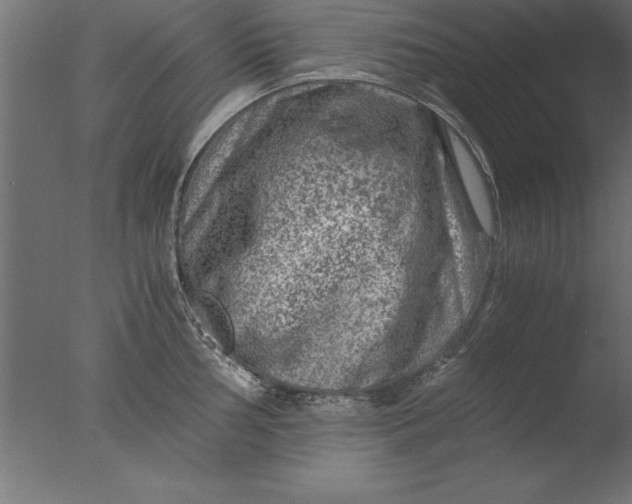 X0000076311002200610201608