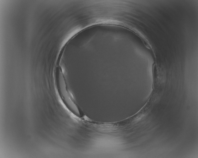 X0000076311007200610201608