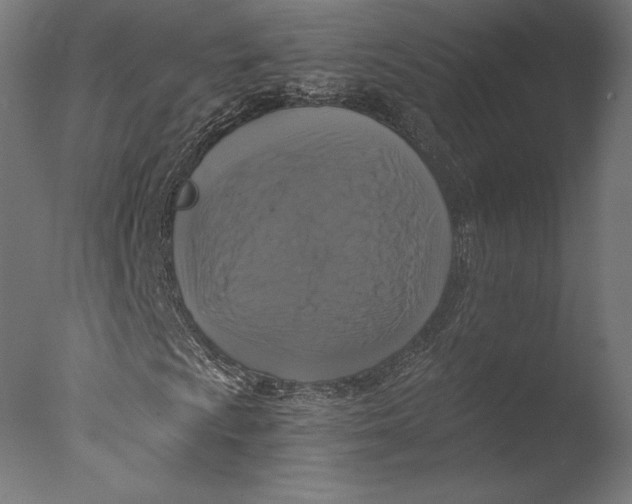 X0000076311009200610201607