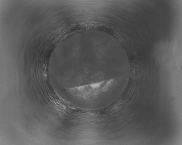 X0000076311010200610201607