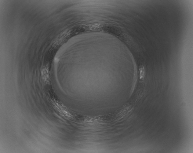 X0000076311011200610201607