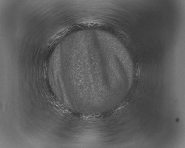 X0000076311014200610201607