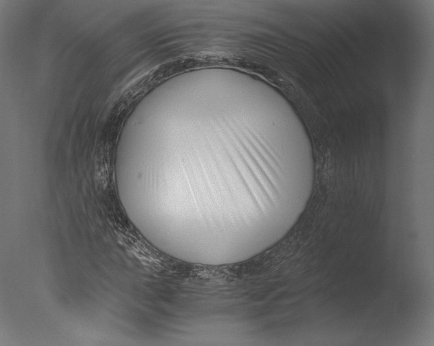 X0000076311015200610201607