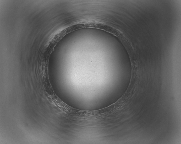 X0000076311016200610201607