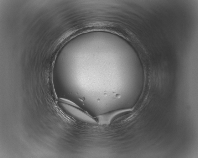 X0000076311017200610201607