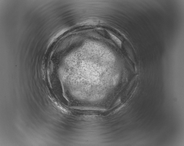 X0000076311018200610201607