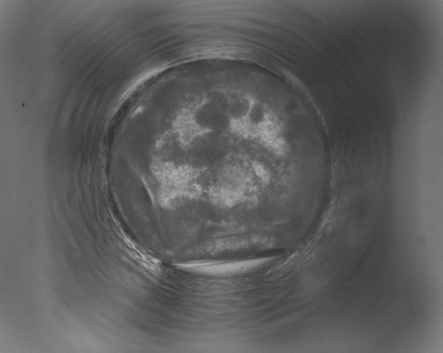 X0000076311019200610201607