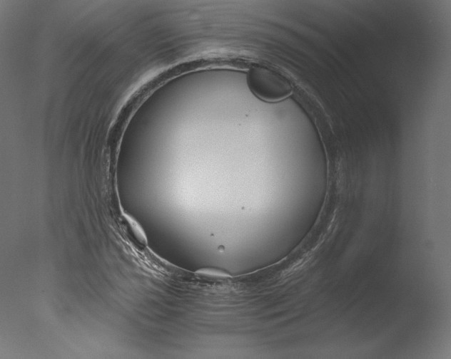 X0000076311021200610201607