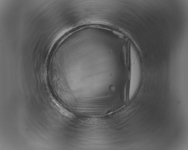 X0000076311024200610201607