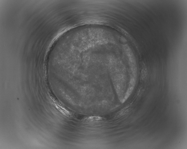 X0000076311027200610201607