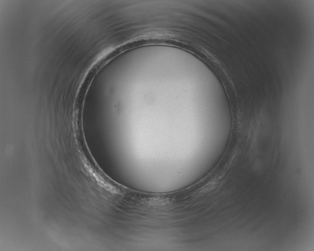 X0000076311029200610201607