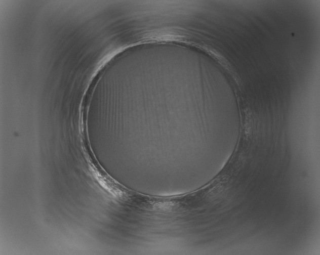 X0000076311031200610201607