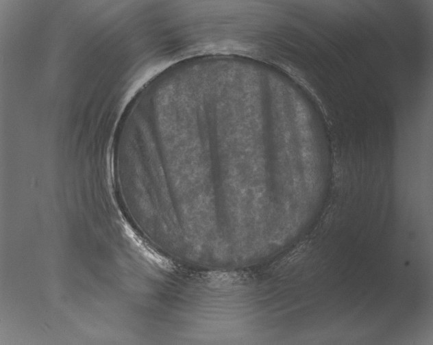 X0000076311032200610201607