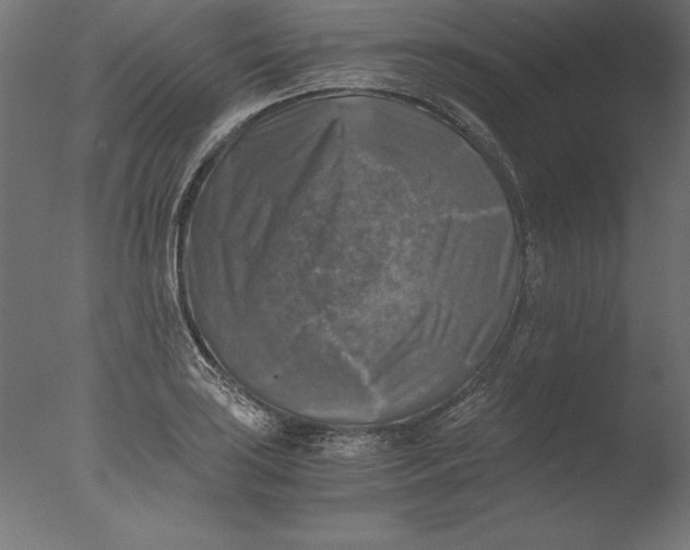 X0000076311035200610201607