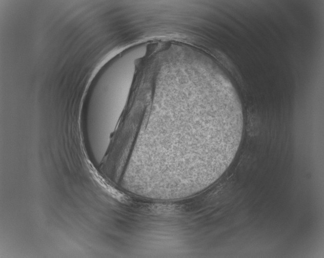 X0000076311036200610201607