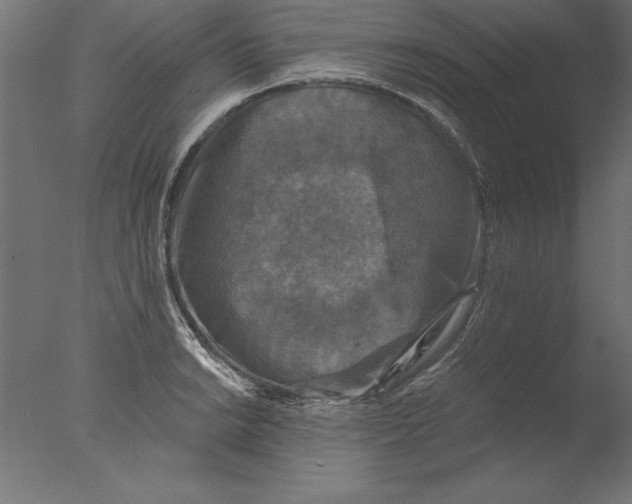 X0000076311038200610201607