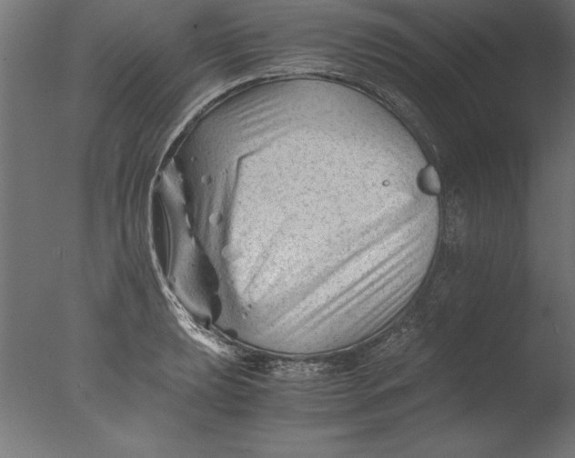 X0000076311039200610201607