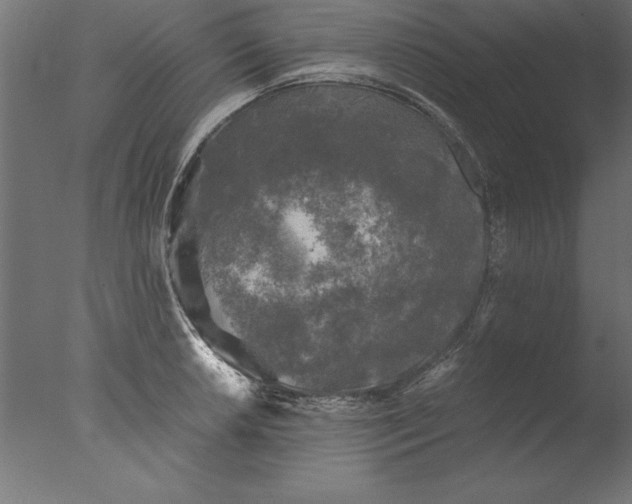 X0000076311042200610201607